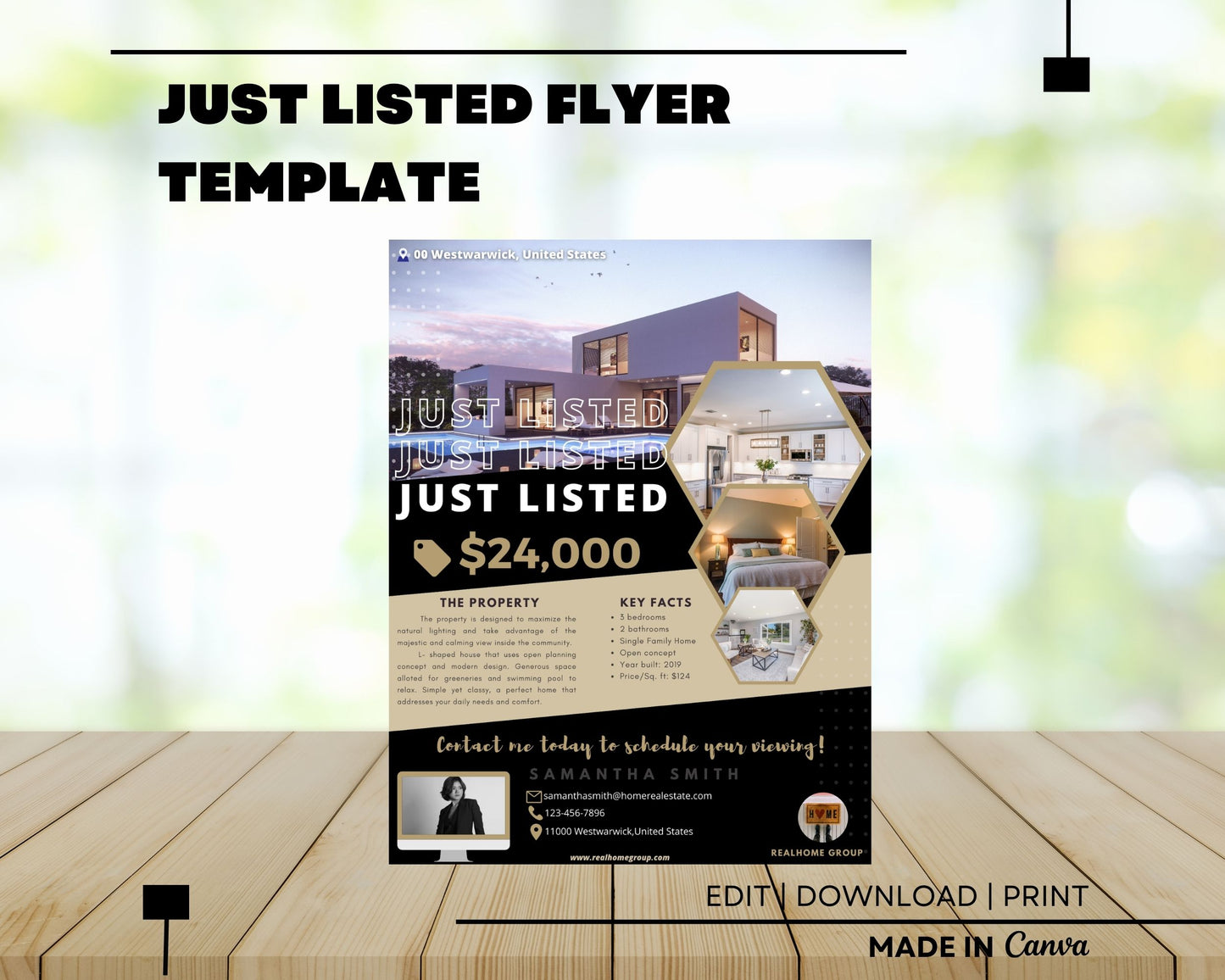 Just Listed Flyer