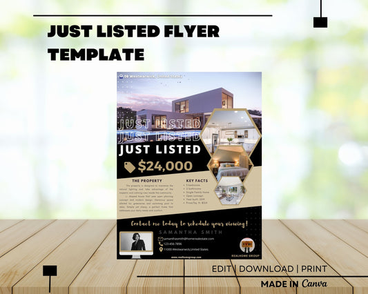 Just Listed Flyer